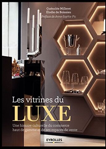 Les Vitrines Du Luxe : Une Histoire Culturelle Du Commerce Haut De Gamme Et De Ses Espaces De Vente