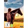 Wild River Ostwind - Aris Ankunft