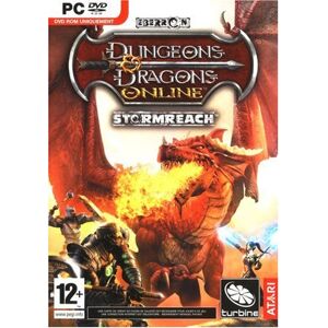 Dungeon & Dragon Online