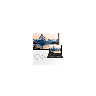 Aten VC920 - Adaptateur DisplayPort - 20 cm - Publicité Aten VC920 - Adaptateur DisplayPort - 20 cm - Publicité