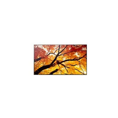Sharp MultiSync PN-M552 M2 Series - 55 ecran LCD retro-eclaire par LED - 4K - pour signalisation numerique - Publicité Sharp MultiSync PN-M552 M2 Series - 55 ecran LCD retro-eclaire par LED - 4K - pour signalisation numerique - Publicité