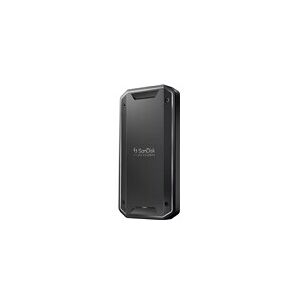 SanDisk Professional PRO-G40 - SSD - 1 To - USB