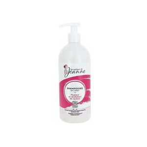 Les couleurs de Jeanne Shampoing Révélateur et Fixateur de Couleur Bio 490 ml - Flacon-Pompe - Publicité Les couleurs de Jeanne Shampoing Révélateur et Fixateur de Couleur Bio 490 ml - Flacon-Pompe - Publicité
