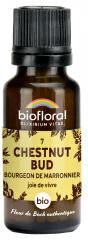 Biofloral 07 Chestnut Bud Bourgeons Marronnier Bio 19,5 g - Flacon 19,5 g