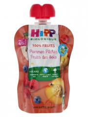 HiPP 100% Fruits Gourde Pommes Pêches Fruits des Bois dès 4/6 Mois Bio 90 g - Gourde 90 g