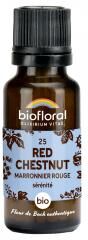 Biofloral 25 Red Chestnut Marronier Rouge Granules Bio 19,5 g - Flacon 19,5 g