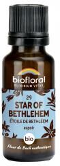 Biofloral 29 Star Of Bethlehem Étoile de Bethleem Granules Bio 19,5 g - Flacon 19,5 g