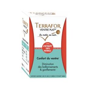 Laboratoire Source Origine Terrafor Ventre Plat 60 Gelules Vegetales - Pot 60 gelules vegetales