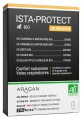 Aragan Synactifs Istaprotect® Bio - Respiration - Cassis Ortie Eucalyptus Camomille Huile Essentielle Camomille - 20 Gélules - Boîte 20 gélules