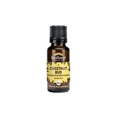 Biofloral 07 Chestnut Bud Bourgeons Marronnier Bio 19,5 g - Flacon 19,5 g - Publicité Biofloral 07 Chestnut Bud Bourgeons Marronnier Bio 19,5 g - Flacon 19,5 g - Publicité