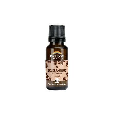 Biofloral 28 Scleranthus Scléranthe Granules Bio 19,5 g - Flacon 19,5 g - Publicité Biofloral 28 Scleranthus Scléranthe Granules Bio 19,5 g - Flacon 19,5 g - Publicité