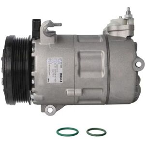 Compresseur MAHLE ACP 1357 000S - Climatiseur Auto - Publicité Compresseur MAHLE ACP 1357 000S - Climatiseur Auto - Publicité