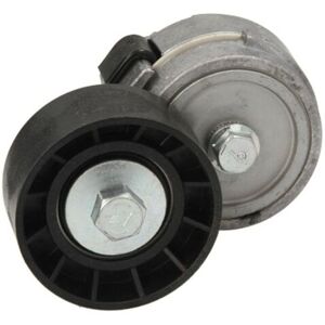 Tendeur de courroie SKF VKM 32027 - Automatique, 66mm, 29mm - Publicité Tendeur de courroie SKF VKM 32027 - Automatique, 66mm, 29mm - Publicité