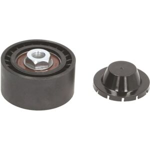 BTA E2R5603BTA Poulie - 60mm diamètre, 10mm intérieur, 30mm largeur - Publicité BTA E2R5603BTA Poulie - 60mm diamètre, 10mm intérieur, 30mm largeur - Publicité