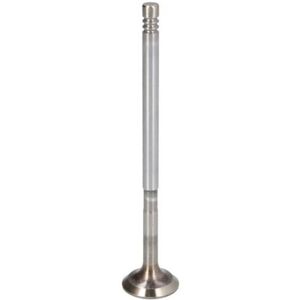 Soupape FRECCIA R6304/SCR - Soupape - Soupape - Publicité Soupape FRECCIA R6304/SCR - Soupape - Soupape - Publicité