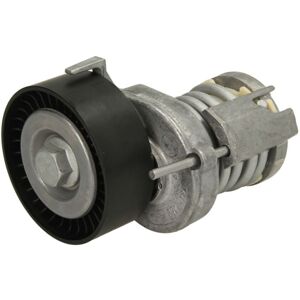 SKF VKM 31015 Riemenspanner à nervures - Riemenspanner à nervures - Publicité SKF VKM 31015 Riemenspanner à nervures - Riemenspanner à nervures - Publicité