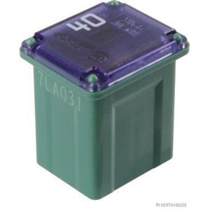 Herth+Buss Jakoparts Fusible - 50295333 - Vert - 40A - Fusible à lame - Publicité Herth+Buss Jakoparts Fusible - 50295333 - Vert - 40A - Fusible à lame - Publicité
