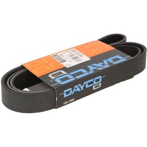 DAYCO Modèle 8PK1520HD Courroie trapézoïdale à nervures - Courroie trapézoïdale à nervures - Publicité DAYCO Modèle 8PK1520HD Courroie trapézoïdale à nervures - Courroie trapézoïdale à nervures - Publicité