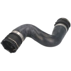 Durite de radiateur THERMOTEC DWB121TT - Moteur à Radiateur - BMW X3 - Publicité Durite de radiateur THERMOTEC DWB121TT - Moteur à Radiateur - BMW X3 - Publicité