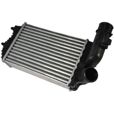 Intercooler THERMOTEC DAF001TT - Aluminium, 295x205x62mm, Plastique - Publicité Intercooler THERMOTEC DAF001TT - Aluminium, 295x205x62mm, Plastique - Publicité