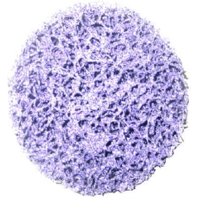 Kit de nettoyage de moyeu de roue ATE - Violet - 75mm - 03.9314-1378.3 - Publicité Kit de nettoyage de moyeu de roue ATE - Violet - 75mm - 03.9314-1378.3 - Publicité