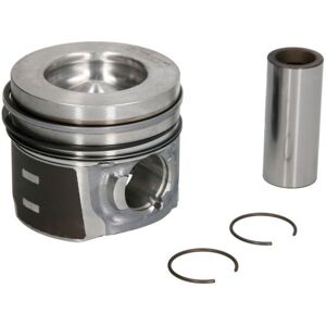 Nural Piston NÜRAL 87-433607-00