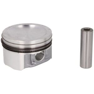 Nural Piston NÜRAL 87-427100-00