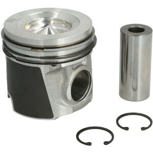 Ne Piston NE 130121000120