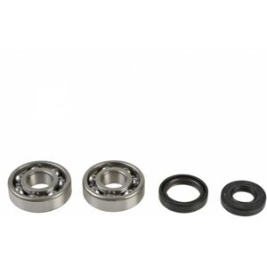 Kit de Réparation de Vilebrequin Kawasaki Kx 125 (1988-2008) - Roulements et Joints - Publicité Kit de Réparation de Vilebrequin Kawasaki Kx 125 (1988-2008) - Roulements et Joints - Publicité