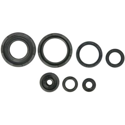 Kit de joints moteur ATHENA P400485400253 - Réparation moto - Publicité Kit de joints moteur ATHENA P400485400253 - Réparation moto - Publicité