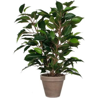 Mica Decorations Plante Artificielle Ficus Natsja Green One Size - Publicité Mica Decorations Plante Artificielle Ficus Natsja Green One Size - Publicité