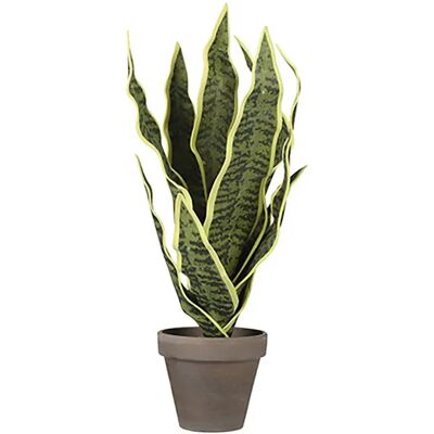 Mica Decorations Plante Artificielle Sansevieria 30 Cm Green One Size - Publicité Mica Decorations Plante Artificielle Sansevieria 30 Cm Green One Size - Publicité