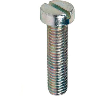 Cofan Vis DIN-84 à Tête Cylindrique Zincée - 100 pcs - Publicité Cofan Vis DIN-84 à Tête Cylindrique Zincée - 100 pcs - Publicité