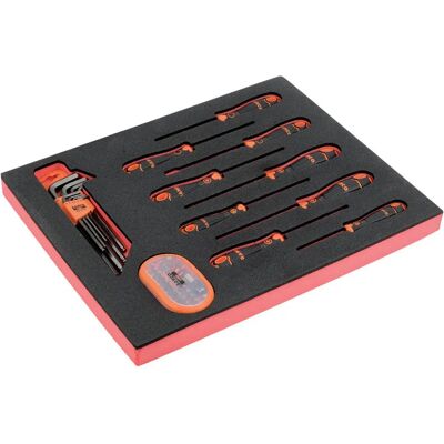 Bahco Jeu De Tournevis Hexagonal Wrenches And Bits In Foam Tray 2-3 Fit&go 49 Unités Multicolor One Size - Publicité Bahco Jeu De Tournevis Hexagonal Wrenches And Bits In Foam Tray 2-3 Fit&go 49 Unités Multicolor One Size - Publicité