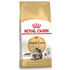 Royal Canin Nourriture Pour Chats Adultes Maine Coon 4kg Multicolor 4kg - Publicité Royal Canin Nourriture Pour Chats Adultes Maine Coon 4kg Multicolor 4kg - Publicité
