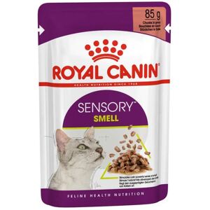 Royal Canin Nourriture Humide Pour Chats Sensory Smell Gravy 85g 12 Unités Multicolour One Size - Publicité Royal Canin Nourriture Humide Pour Chats Sensory Smell Gravy 85g 12 Unités Multicolour One Size - Publicité