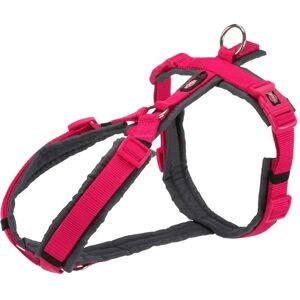 Trixie Harnais Pour Chien Trekking New Premium 20 Mm Fuchsia / Graphite 44-53 cm - Publicité Trixie Harnais Pour Chien Trekking New Premium 20 Mm Fuchsia / Graphite 44-53 cm - Publicité