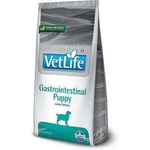 Farmina Nourriture Pour Chien Vet Life Puppy Gastrointestinal 2kg Multicolor 2kg - Publicité Farmina Nourriture Pour Chien Vet Life Puppy Gastrointestinal 2kg Multicolor 2kg - Publicité