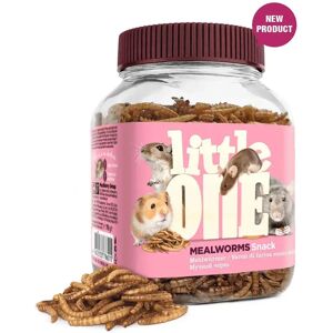 Mealberry Littleone Snack Vers De Farine Snack Pour Rongeurs 70g 6 Unités Multicolor One Size - Publicité Mealberry Littleone Snack Vers De Farine Snack Pour Rongeurs 70g 6 Unités Multicolor One Size - Publicité