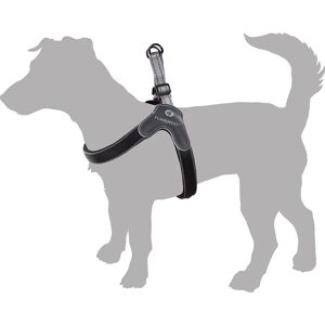 Harnais Easy Hilka de Flamingo - Harness - Publicité Harnais Easy Hilka de Flamingo - Harness - Publicité