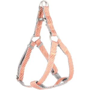 Flamingo Harnais Pour Chien Step&go Elly Pink Salmon 60-90 cm x 25 mm - Publicité Flamingo Harnais Pour Chien Step&go Elly Pink Salmon 60-90 cm x 25 mm - Publicité