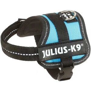 Julius K-9 Harnais Pour Chien Power Aqua Marina Baby 1 - Publicité Julius K-9 Harnais Pour Chien Power Aqua Marina Baby 1 - Publicité