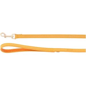 Flamingo Laisse Pour Chien Virginia Yellow 1.3m x 15mm - Publicité Flamingo Laisse Pour Chien Virginia Yellow 1.3m x 15mm - Publicité