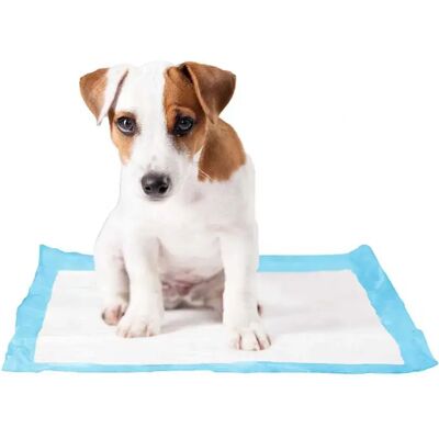 Duvo Plus Tapis d'Entraînement - Chiots et Chiens - 45x60cm - Publicité Duvo Plus Tapis d'Entraînement - Chiots et Chiens - 45x60cm - Publicité