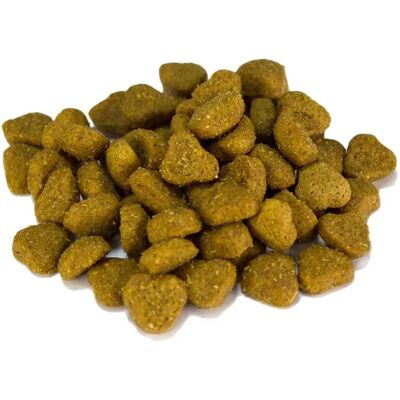 Arquivet Adult - Croquettes Agneau et Riz - 12 KG - Nourriture pour chiens - Publicité Arquivet Adult - Croquettes Agneau et Riz - 12 KG - Nourriture pour chiens - Publicité