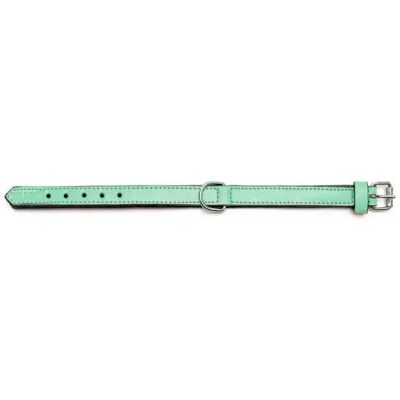 Gloria Collier De Chien Padded Green 55 x 2.5 cm - Publicité Gloria Collier De Chien Padded Green 55 x 2.5 cm - Publicité