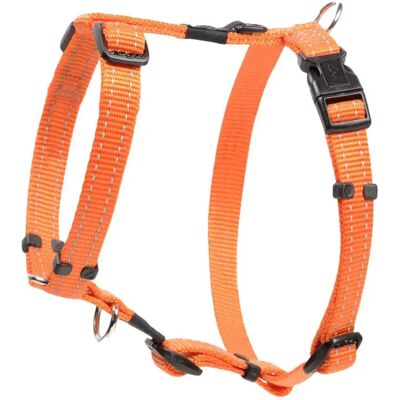 Rogz - RSJ14D - orange - S - Harness - Publicité Rogz - RSJ14D - orange - S - Harness - Publicité