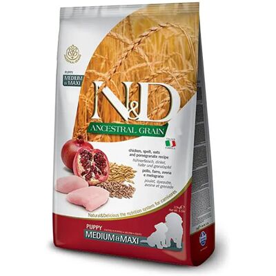 Farmina Nourriture Pour Chien Au Poulet Puppy Ancestral Medium Maxi 12kg Multicolor 12kg - Publicité Farmina Nourriture Pour Chien Au Poulet Puppy Ancestral Medium Maxi 12kg Multicolor 12kg - Publicité