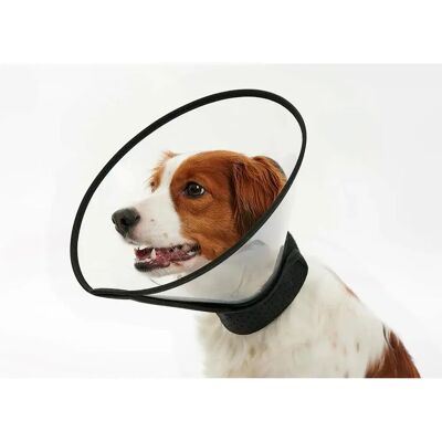 Kruuse Collier De Chien Complete 20 Cm Elizabethan 5 Unités One Size - Publicité Kruuse Collier De Chien Complete 20 Cm Elizabethan 5 Unités One Size - Publicité