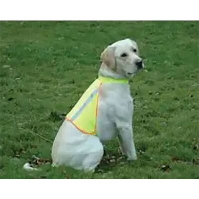 Harnais Réfléchissant pour Chien Kruuse Buster - Beige S - Publicité Harnais Réfléchissant pour Chien Kruuse Buster - Beige S - Publicité